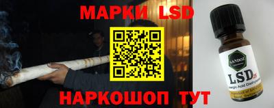 a pvp Гатчина
