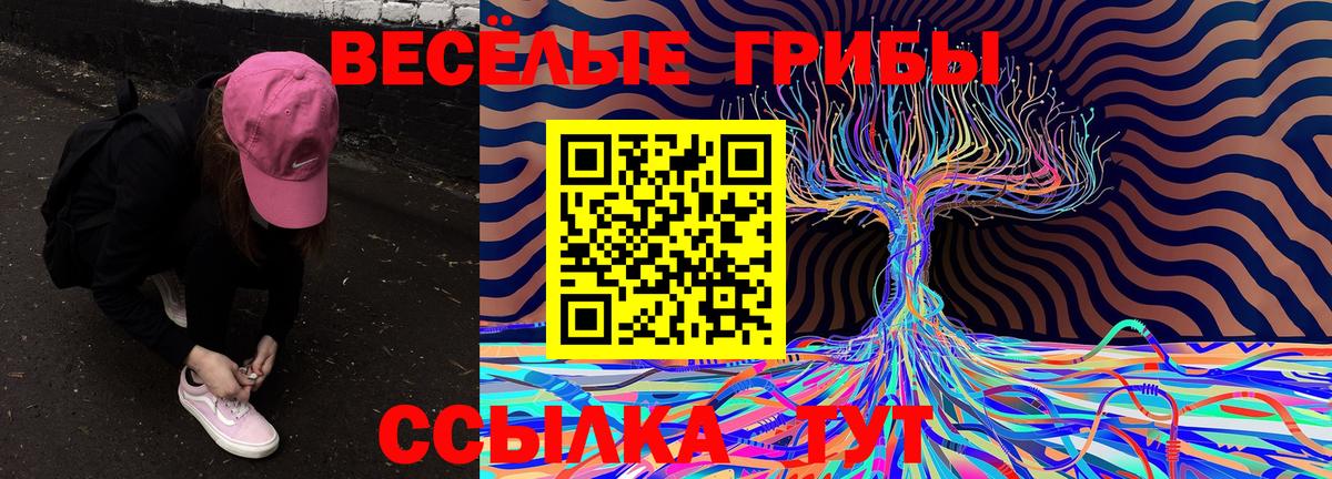 Орехово-Зуево  Псилоцибиновые грибы ЛСД  Вход с VPN 